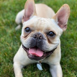 Meet your Posher, Liz